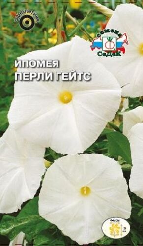 Ипомея Перли Гейтс беол-розовая (Седек)