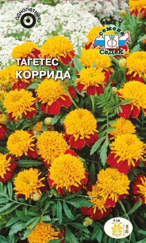 Тагетес Коррида отклонённый (Седек)