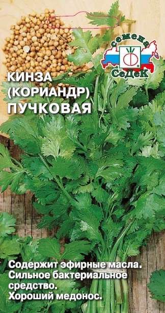 Кориандр (кинза) Пучковая (Седек)