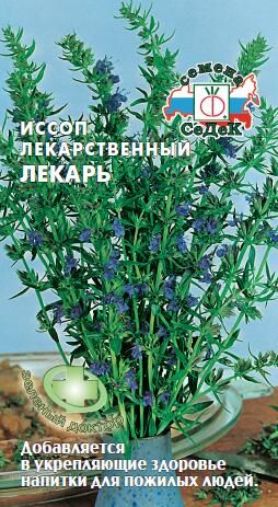 Иссоп Лекарь лекарственный (Седек)