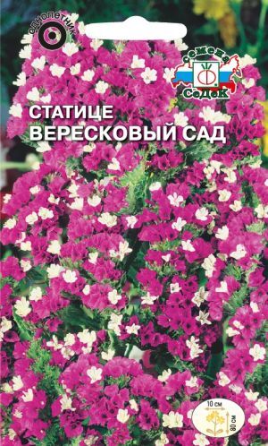 Статице Вересковый сад густо-розовая (Седек)