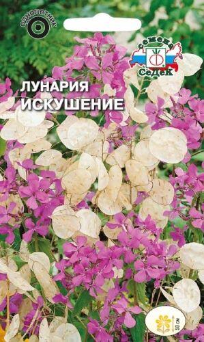Лунария Искушение (Седек)