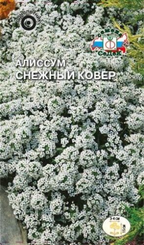 Алиссум Снежный ковёр морской (Седек)