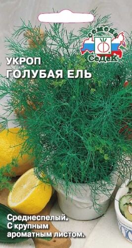 Укроп Голубая ель (Седек)