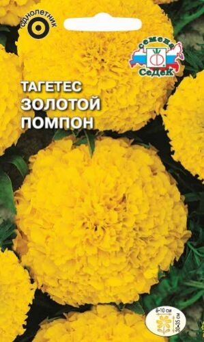 Тагетес Золотой помпон прямостоячий (Седек)