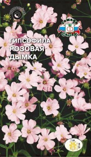 Гипсофилла Розовая дымка изящная розовая (Седек)