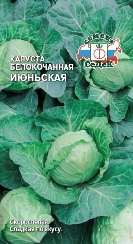 Капуста б/к Июньская (Седек)