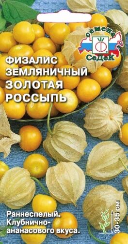 Физалис Золотая Россыпь земляничный (Седек)