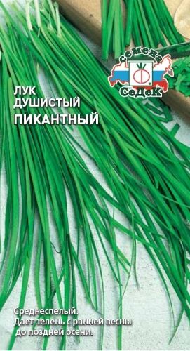 Лук душистый Пикантный (Седек)