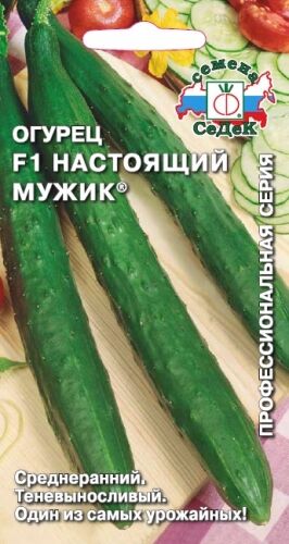 Огурец Настоящий мужик  F1 (Седек)