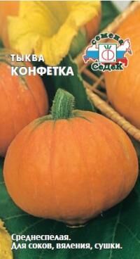 Тыква Конфетка (Седек)