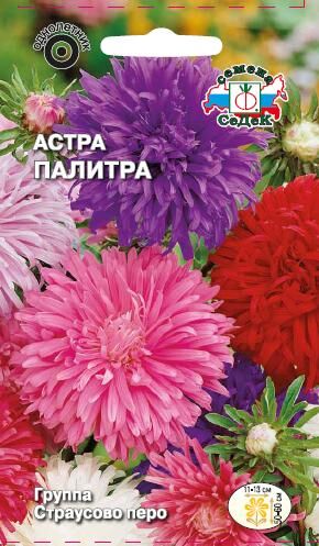 Астра Палитра смесь (Седек)