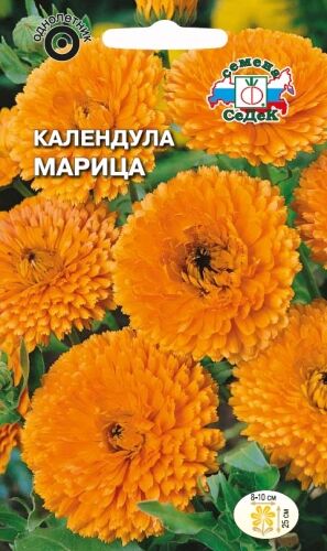Календула Марица лекарственная (Седек)