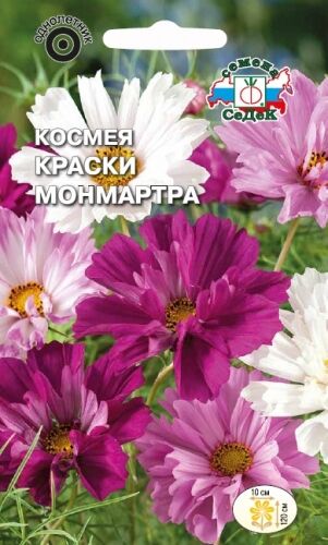 Космея Краски Монмартра (Седек)