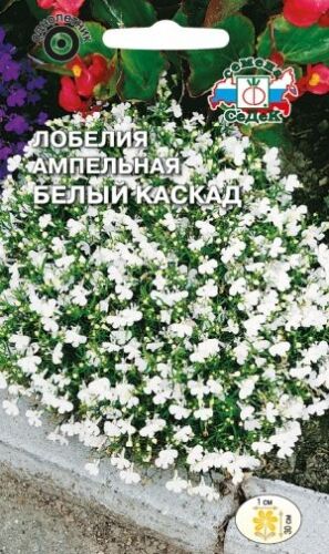 Лобелия Белый Каскад ампельная (Седек)