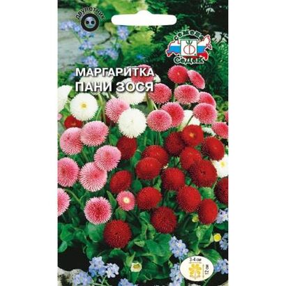 Маргаритка Пани Зося многолетняя смесь (Седек)