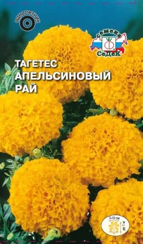 Тагетес Апельсиновый рай отклонённый (Седек)