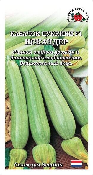 Кабачок Искандер F1 (Сотка)