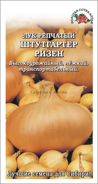 Лук репчптый Штуттгартер Ризен (Сотка)