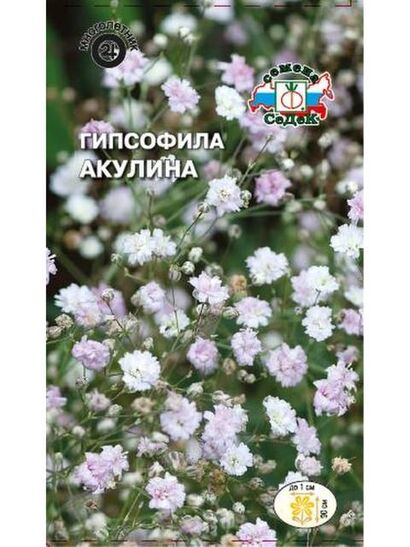 Гипсофилла Акулина тихоокеанская (Седек)