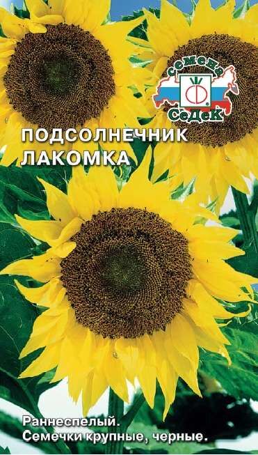 Подсолнечник Лакомка (Седек)