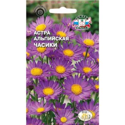 Астра альпийская Часики  (Седек)