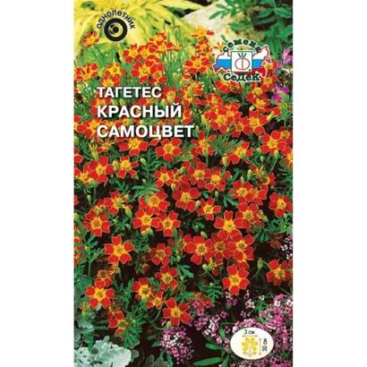Тагетес Красный самоцвет отклонённый