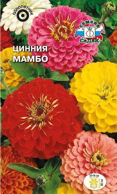 Цинния Мамбо георгиновидная смесь (Седек)