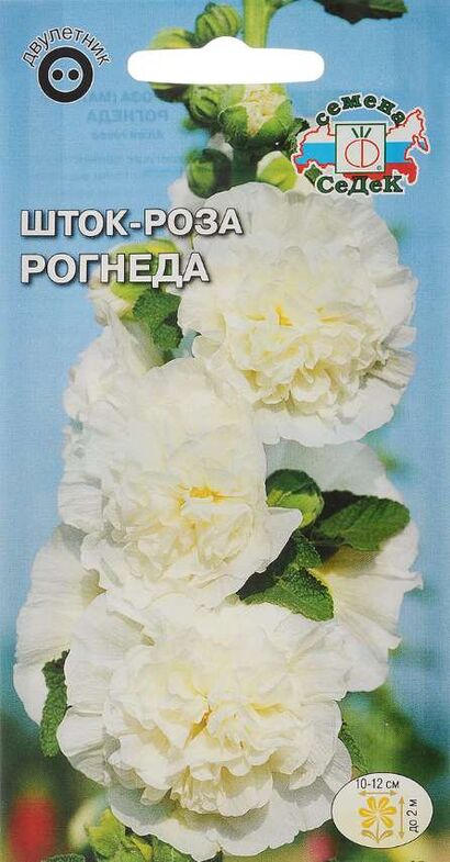 Шток- роза Рогнеда (мальва) (Седек)