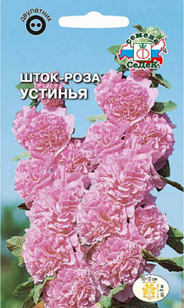 Шток- роза Устинья (мальва)
